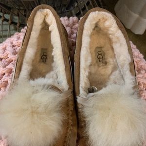 Ugg Dakota slippers